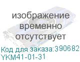 YKM41-01-31