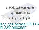 FLSSD960X5SE