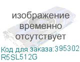 R5SL512G