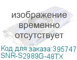 SNR-S2989G-48TX