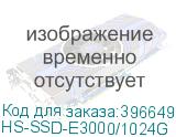 HS-SSD-E3000/1024G