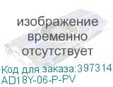 AD18Y-06-P-PV