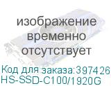 HS-SSD-C100/1920G