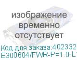 E300604/FWR-P=1.0-L1-10-1100