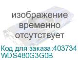 WDS480G3G0B