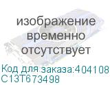 C13T673498