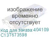 C13T673598