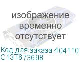 C13T673698