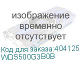 WDS500G3B0B