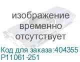 P11061-251