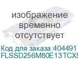 FLSSD256M80E13TCX5SE