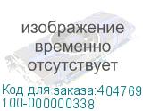 100-000000338
