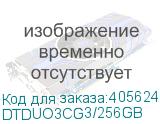 DTDUO3CG3/256GB