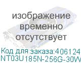 NT03U185N-256G-30WH