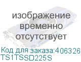 TS1TSSD225S