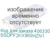SSDPF2KX960HZN1