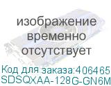 SDSQXAA-128G-GN6MN