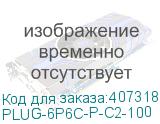 PLUG-6P6C-P-C2-100