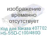 HS-SSD-C100/480G