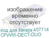 CPW65-DECT-DUO