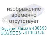 SDSSDE61-4T00-G25