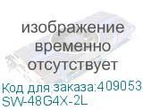 SW-48G4X-2L