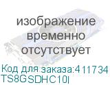 TS8GSDHC10I