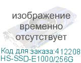 HS-SSD-E1000/256G