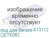 CET6082