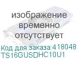 TS16GUSDHC10U1