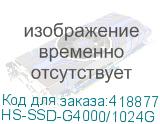 HS-SSD-G4000/1024G