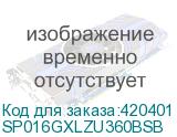 SP016GXLZU360BSB