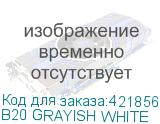 B20 GRAYISH WHITE