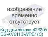 DS-KV6113-WPE1(C)