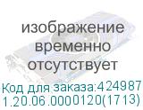 1.20.06.0000120(1713)