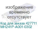 MH241P-A001-0302