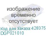 DGP021010