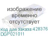 DGP021011
