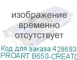 PROART B650-CREATOR