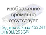 DT80M/256GB