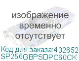 SP256GBPSDPC60CK