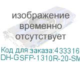 DH-GSFP-1310R-20-SMF