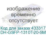 DH-GSFP-1310T-20-SMF
