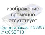21CCSBF101