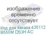 B550M DS3H AC