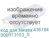 008R13103_S