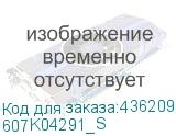 607K04291_S
