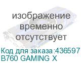 B760 GAMING X