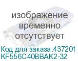 KF556C40BBAK2-32