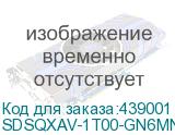 SDSQXAV-1T00-GN6MN